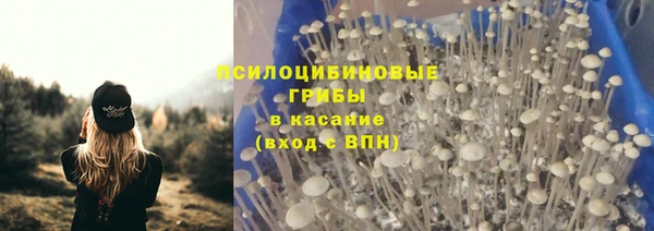 мдпв Новодвинск