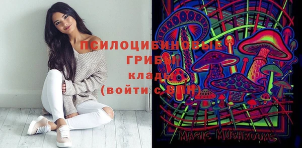 мдпв Новодвинск