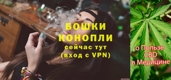 мдпв Новодвинск
