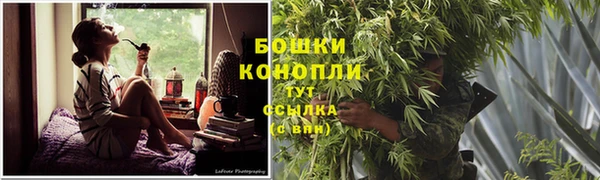 мдпв Новодвинск